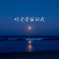 白一莎 - 时光背面的我