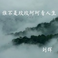 刘辉 - 谁不是坎坎坷坷看人生