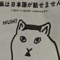 坏猫之歌 (小猫放屁导致全球变暖)