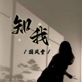 国风堂 - 知我