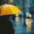 Yang.Lc、陶陶居、DJ97 - 雨落下的那个夜晚