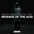 Revenge of the Acid (Original Mix)