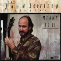 John Scofield - French Flics