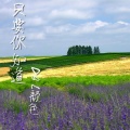 DBL颜色 - 只要你知道