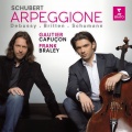 Arpeggione Sonata in A Minor, D. 821: I. Allegro moderato