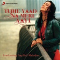 Udit Narayan、Manpreet Akhtar、Alka Yagnik - Tujhe Yaad Na Meri Aayee
