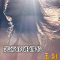王剑 - 分手的距离