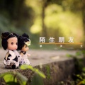 单沫文 - 陌生朋友