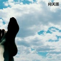 丁奇炜 - 问天涯