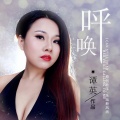 谭英 - 呼唤