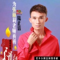 花青燕、陆正信 - 为张丽莉老师祈祷