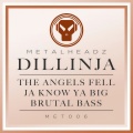 Dillinja - The Angels Fell