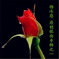 汤子星、王丽达 - 寻常百姓