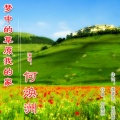 何焕洲-茜草心 - 梦中的草原我的家