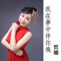 贺娜 - 我在梦中伴你飞