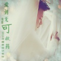 袁野 - 爱到无可救药
