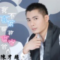 陈才超 - 我不喜欢那种花心的人