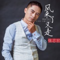 张志宏 - 风来了又走