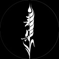 麦朵乐队 - 生活