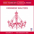 Queensland Symphony Orchestra、Vladimir Ponkin - On The Beautiful Blue Danube, Op. 314
