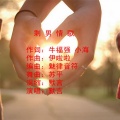 默言 - 剩男情歌 (Remix)