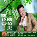 韩晓辉 - 槐花香槐花美
