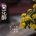 王立丽 - 菊花醉