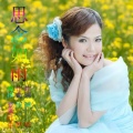 蒋婴 - 思念如雨