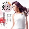 赵玉东 - 飞