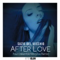 Suzie Del Vecchio - After Love