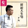罗钢 - 蹉跎人生路