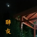 黄华 - 醉夜