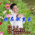 韩晓辉 - 妹在歌里头