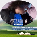 王如华 - 哭泣的羔羊