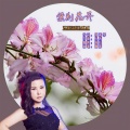 阿影 - 紫荆花开
