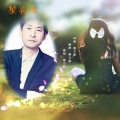 秦立新 - 梨花泪