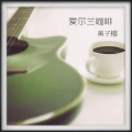 Mr吉他 - 爱尔兰咖啡