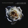 The Chill-Out Orchestra - The Other Side Of The Moon