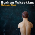 Burhan Yuksekkas - Coma