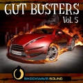 Shockwave-Sound - Nascar Mayhem