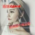 雨妹 - 摇就行了 (Remix)