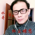 金水哥 - 红尘蝶恋