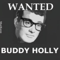 Buddy Holly - Don't Come Back Knockin'