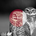Mark Alow - Shaman