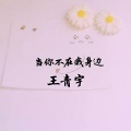 王青宇 - 当你不在我身边