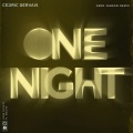 One Night (Gerd Janson )(Remix)