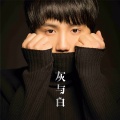 蔺灿 - 夜色