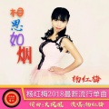 杨红梅 - 相思如烟