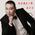 孟小宝 - 你走就走了吧