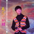 于洋 - 美丽千纸鹤